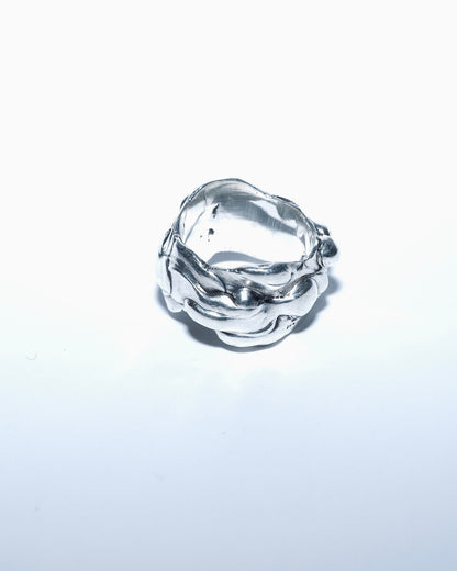 Liquid Ring Heavy