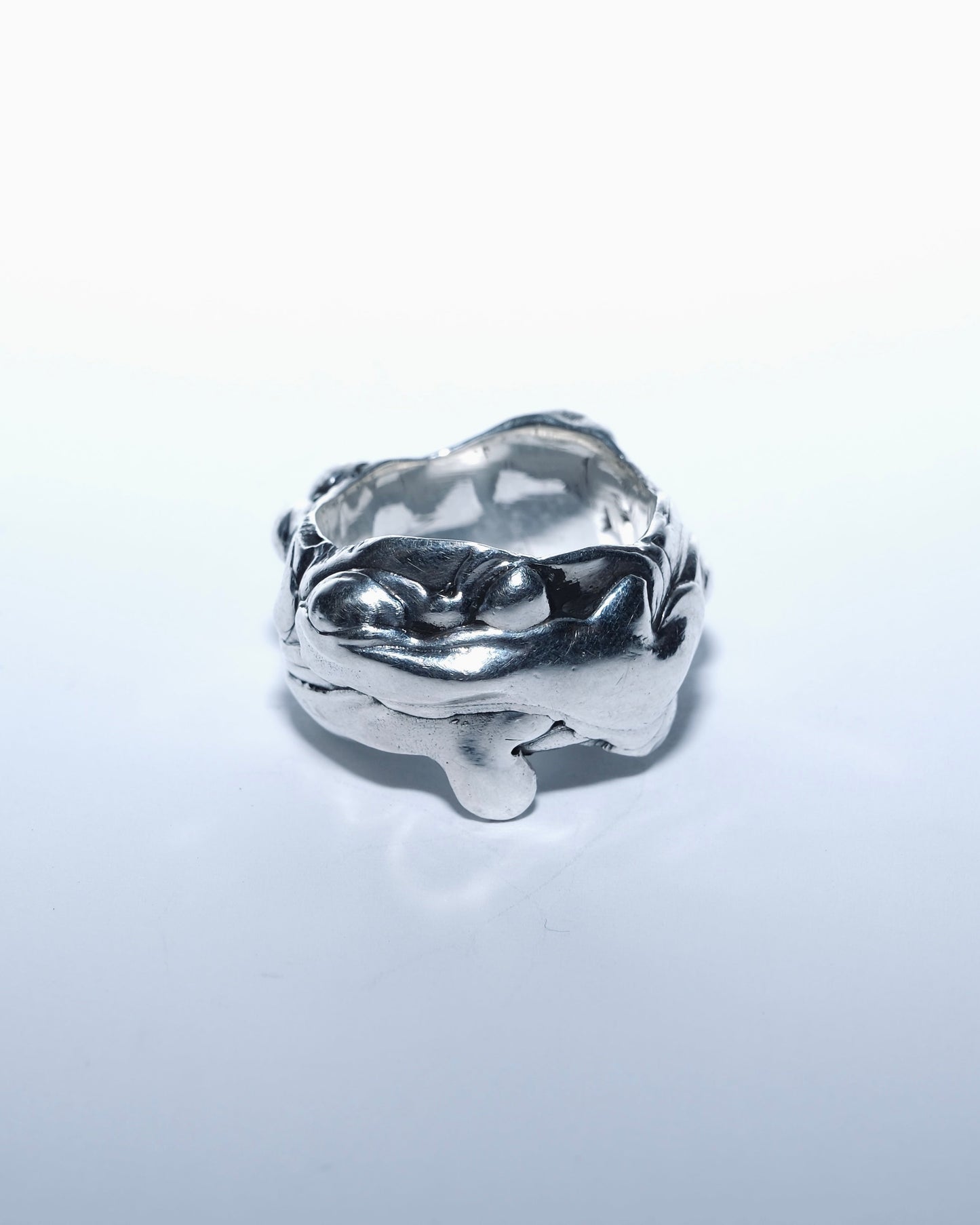 Liquid Ring Heavy