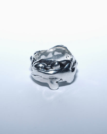 Liquid Ring Heavy
