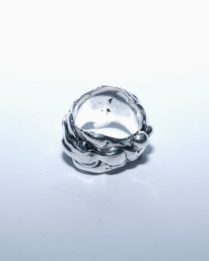 Liquid Ring Heavy