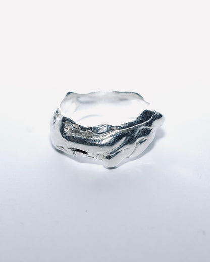 Liquid Ring Medium